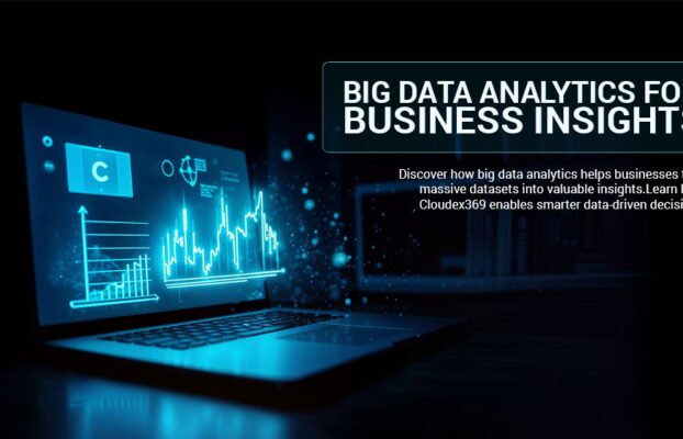 Big Data Analytics for Business Insights | Cloudex369